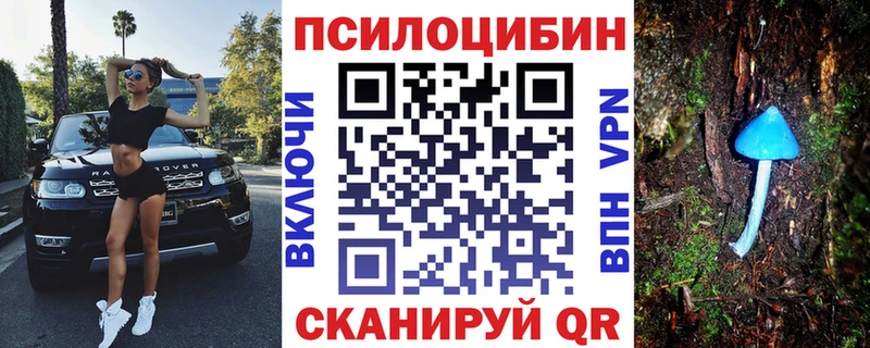 blacksprut рабочий сайт  Олёкминск  Псилоцибиновые грибы Psilocybine cubensis 